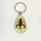 AMBER GLOW IN THE DARK INSECT KEYCHAIN PENDANT_CWMM3698