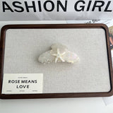 DREAMY STARFISH CLAW CLIP OCEAN GRADIENT DESIGN_CWAHA5893