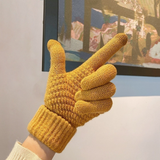 SELF HEATING KNIT GLOVES CUTE WARM DESIGN_CWAG0198
