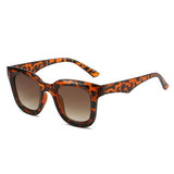 Wide Frame Dandy Sunglasses_Cwasg0103
