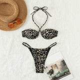 SEXY BIKINI LEOPARD PRINT TWO PIECE SWIMSUIT_CWMW0749