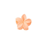 CANDY COLOR PLUMERIA CLAW CLIP SMALL FLOWER CLIP_CWMM4939