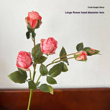 Vintage 5-Head Angora Rose With Burnt Edges_Cwmm6512