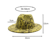 FASHIONABLE SNAKE PATTERN WOOLEN JAZZ HAT_CWAH2588