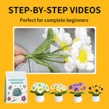 NEW DAISY POTTED HANDMADE DIY MATERIAL PACKAGE_CWMM0837