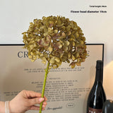 AUTUMN VINTAGE SINGLE STEM BURNT EDGE HYDRANGEA_CWMM6480