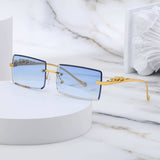 FASHION SQUARE FRAME LEOPARD SUNGLASSES_CWASG0735