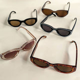 PAINTED CAT EYE SUNGLASSES_CWASG0420