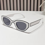 PAINTED CAT EYE SUNGLASSES_CWASG0420