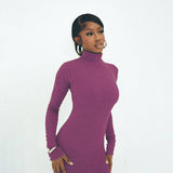 Stylish Elegance High-Neck Fit Long-Sleeved Dress