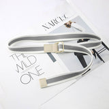 Cwabe0948_Striped Simple All-Match Double Buckle Belt