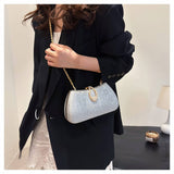 SHOULDER EVENING BAG CHAIN SQUARE BAG CLUTCH BAG_CWAB3253