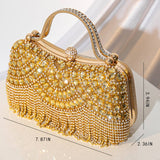 NEW STYLE TASSEL BANQUET FASHION HANDBAG_CWAB2497