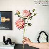 MULTI HEAD BURNT EDGE AUSTIN ROSE FAUX BOUQUET_CWMM6525