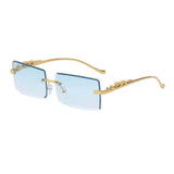 FASHION SQUARE FRAME LEOPARD SUNGLASSES_CWASG0735