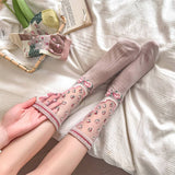 RETRO NEW GARDEN TRANSPARENT SOCKS_CWMS0555