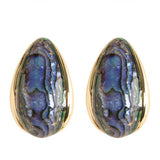 COLORFUL NATURAL ABALONE SILVER NEEDLE EARRINGS_CWMM4294