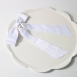 HOT STYLE BOW SPRING CLIP HAIR_CWAHA1038