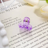 Rainbow Mini Transparent Gripper Claw Clip_Cwaha0721