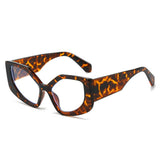 CAT EYE PC RAINBOW COLOR PERSONALIZED FLAT GLASSES_CWASG0247