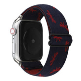 APPLE WATCH 9 1 NYLON ELASTIC STRAP_CWWW0050