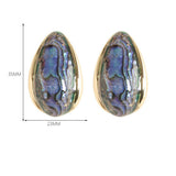 COLORFUL NATURAL ABALONE SILVER NEEDLE EARRINGS_CWMM4294