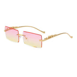 FASHION SQUARE FRAME LEOPARD SUNGLASSES_CWASG0735