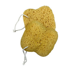 SEAWEED COTTON HONEYCOMB BATH BATH SPONGE_CWMM3402