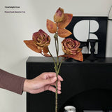 Vintage Autumn Oil Painting Burnt Rose_Cwmm6514