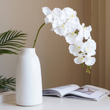 PREMIUM SILK 9 HEAD PHALAENOPSIS ORCHID HOME DECOR_CWMM6479