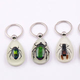 AMBER GLOW IN THE DARK INSECT KEYCHAIN PENDANT_CWMM3698