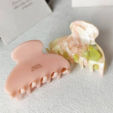 Elegant Acetate Claw Clip?Multicolor Half-Up Hair_Cwaha07221