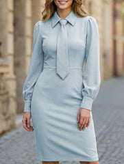 Waist-cinching tie long-sleeved dress