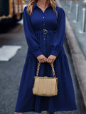 Lantern Sleeve Ruffle Hem Shirt Dress_CWDMD01935