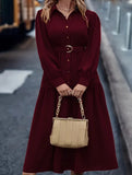 Lantern Sleeve Ruffle Hem Shirt Dress_CWDMD01935