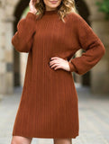 Round neck long sleeve versatile dress