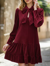 Retro hot sale velvet short dress