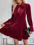 Retro hot sale velvet short dress