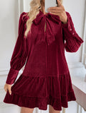 Retro hot sale velvet short dress