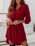 Single-breasted belted fitted lapel dress