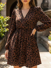 Long-sleeved, elastic-waisted leopard print dress
