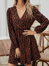 Long-sleeved, elastic-waisted leopard print dress
