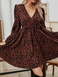 Long-sleeved, elastic-waisted leopard print dress