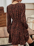 Long-sleeved, elastic-waisted leopard print dress