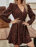 Long-sleeved, elastic-waisted leopard print dress