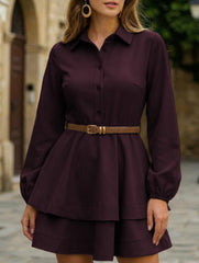 Collared Shirt Dress A-Line Waist Fitted_CWDSD11456