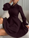 Collared Shirt Dress A-Line Waist Fitted_CWDSD11456