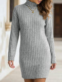 Stylish brushed striped turtleneck long-sleeved dress_CWDSD11629