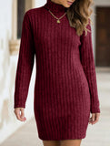 Stylish brushed striped turtleneck long-sleeved dress_CWDSD11629