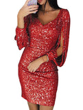 Sequin Fringe Bodycon Party Dress_CWDSD11958